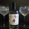 Seclusion Limited Release Original Gin
